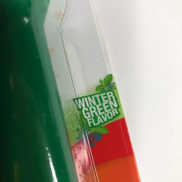 2 Pack Nylabone long lasting chew bones Winter Green, Turkey & Berries Flavor - Picture 7 of 9